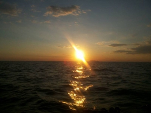 Crociera con skipper al Giglio