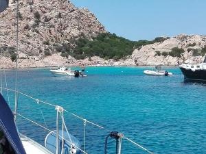 Addio al nubilato in barca Nettuno